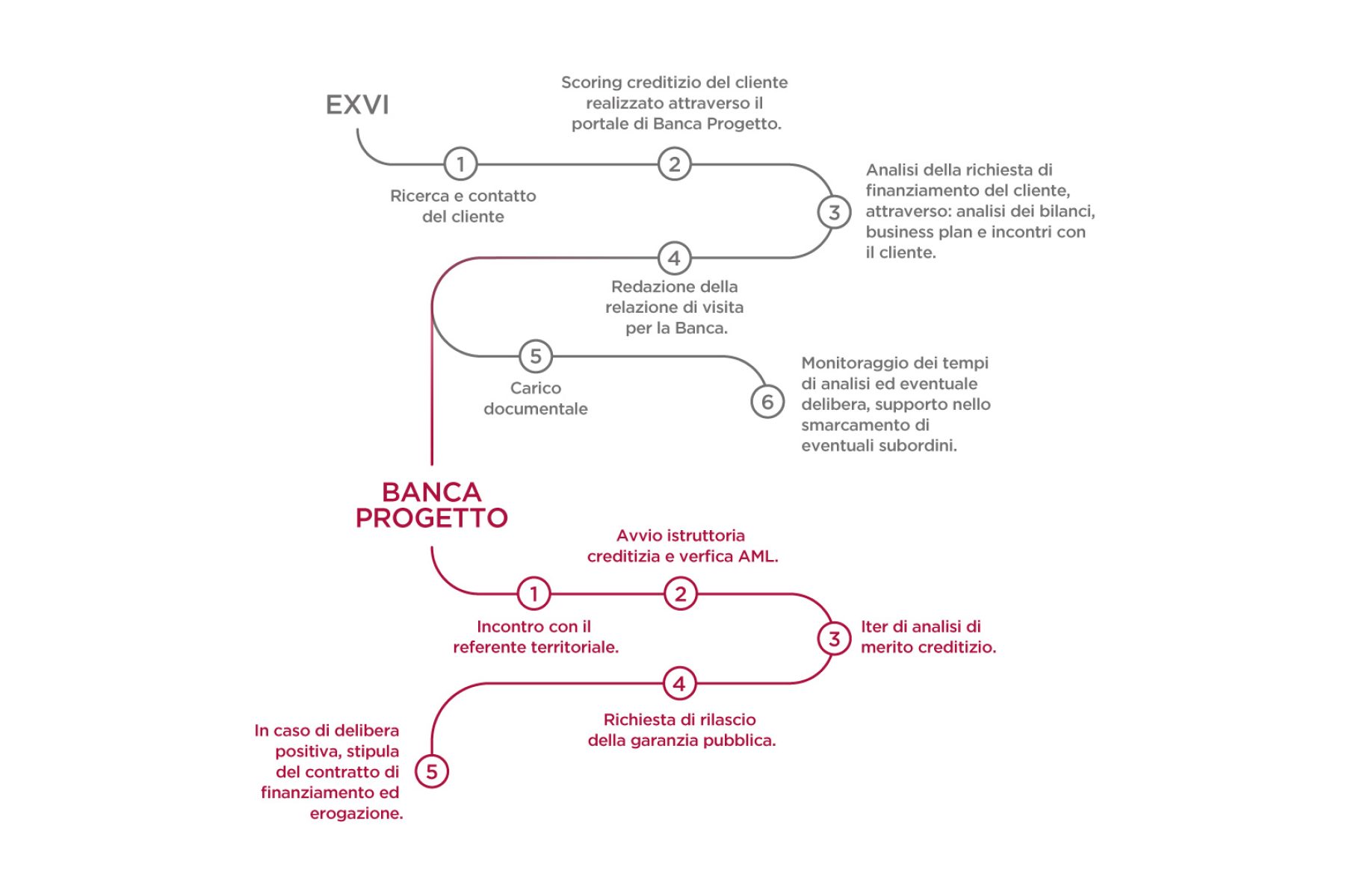 EXVI-Infografica